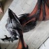 scaled