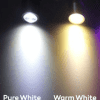 led colors