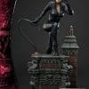 mmdc dxs catwoman leebermejo dxs a