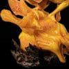 sinestro