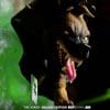 THE_JOKER_DLX_HQS_14.jpg the joker dlx hqs