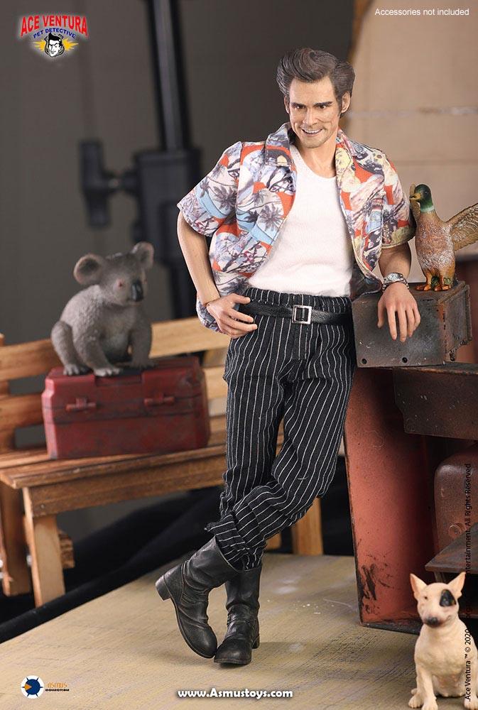 ace ventura ace ventura pet detective gallery f cc b b
