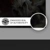 asajj ventress ascension star wars gallery ed a ec a