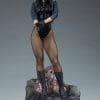 black canary dc comics gallery fb c f