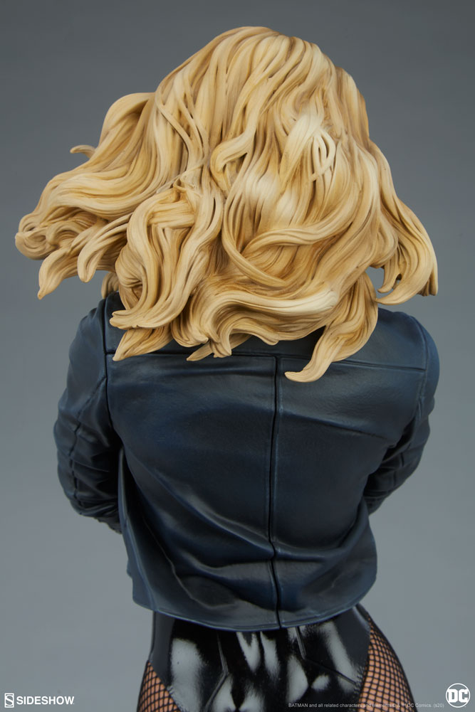 black canary dc comics gallery fb c d