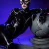 catwoman dc comics gallery fac de