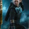 hawkeye deluxe version marvel gallery caf