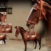Star Ace Toys James Dean Horse Sixth Scale Figure