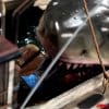 jaws attack jaws gallery c d b f