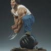 logan marvel gallery cd e f a