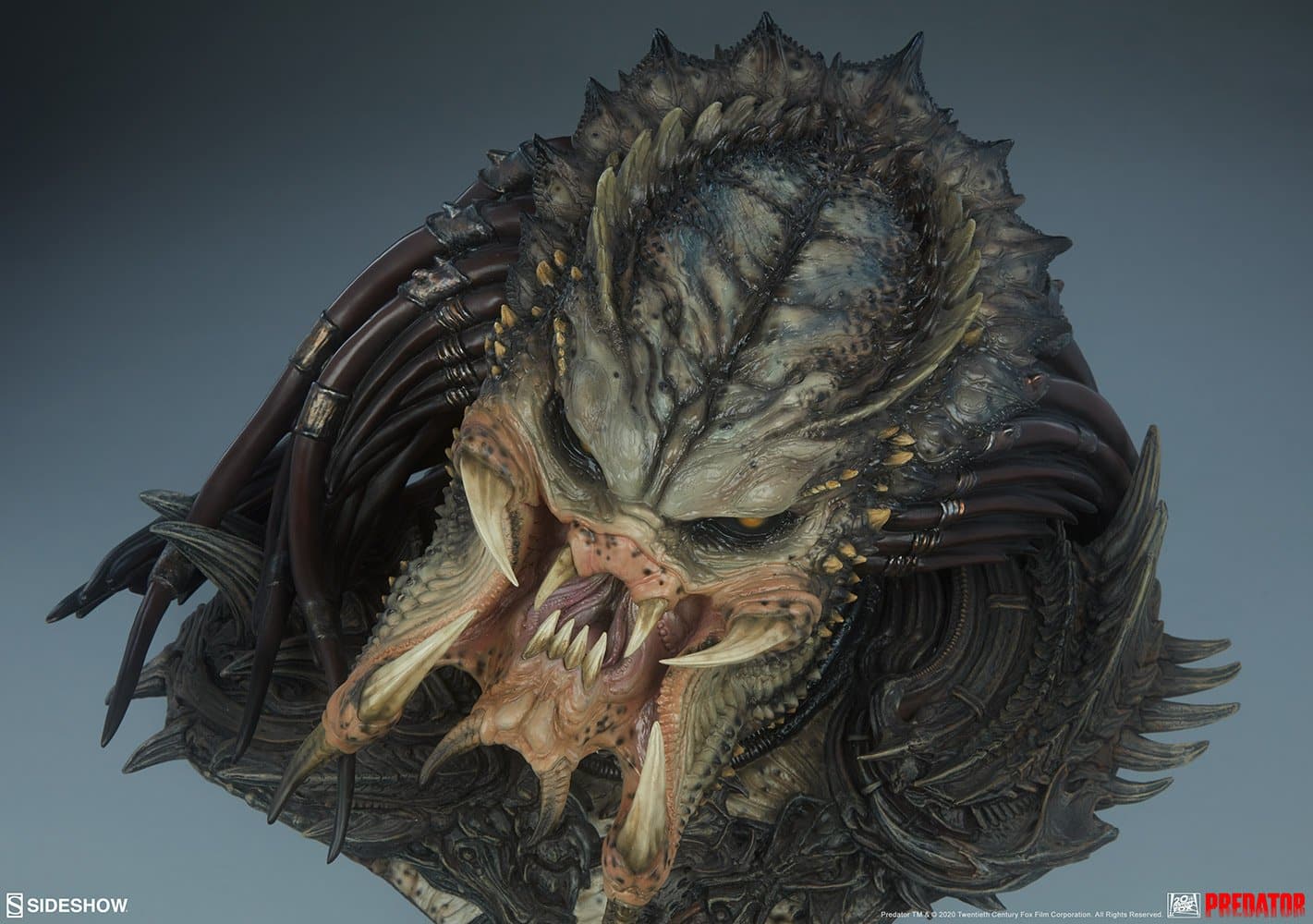 predator barbarian mythos predator gallery f bd d ee