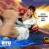 ryu street fighter gallery ee e