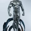 silver-surfer_marvel_gallery_5f18e147a2994.jpg silver surfer marvel gallery f e a