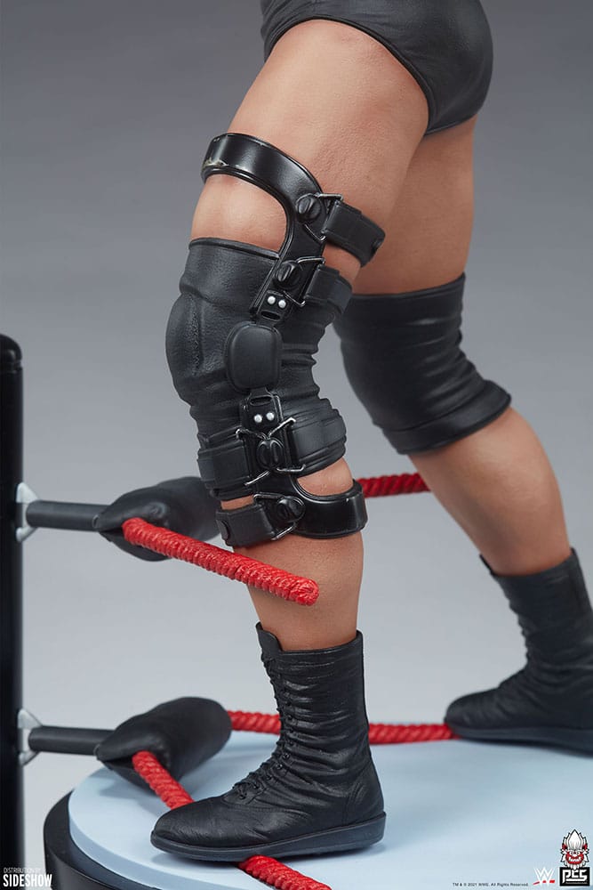 stone-cold-steve-austin_wwe_gallery_604c20a2a981f.jpg stone cold steve austin wwe gallery c a a f