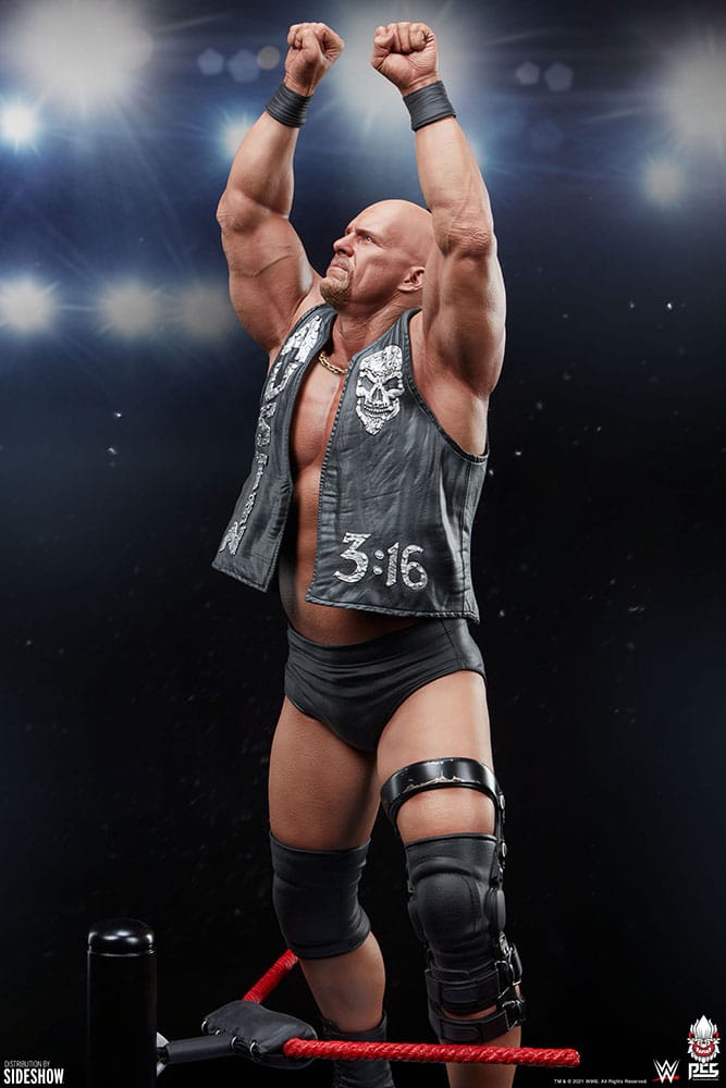 stone-cold-steve-austin_wwe_gallery_604c20b43daf9.jpg stone cold steve austin wwe gallery c b daf