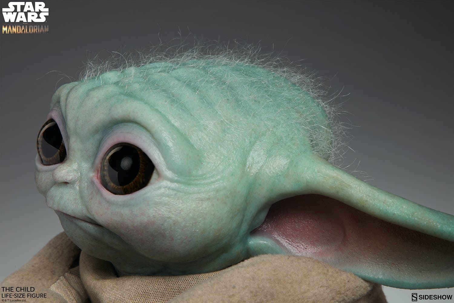 the child star wars gallery e d e
