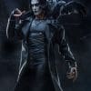 the crow the crow gallery ca b d d