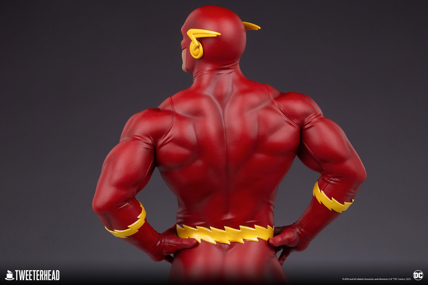 the-flash_dc-comics_gallery_61a846a6c8e49.jpg the flash dc comics gallery a a c e