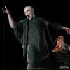 voldemort and nagini harry potter gallery c e f e