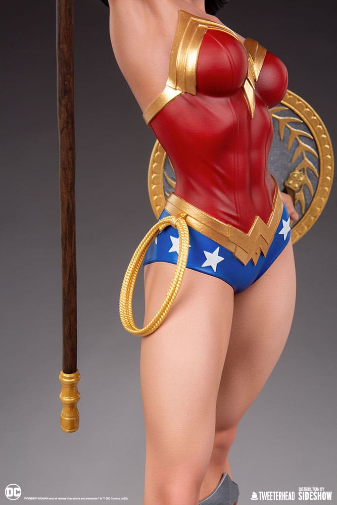 wonder woman dc comics gallery f fec ae