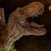 Jurassic World Dominion Tyrannosaurus Rex Wall-Mounted Bust Jurassic World Dominion Tyrannosaurus Rex Wall-Mounted Bust