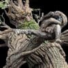 WETA Workshop Lord of the Rings Leaflock The Ent Statue