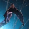 PCS Morrigan Statue Deluxe 1/3 Scale Darkstalkers Limited Collectible