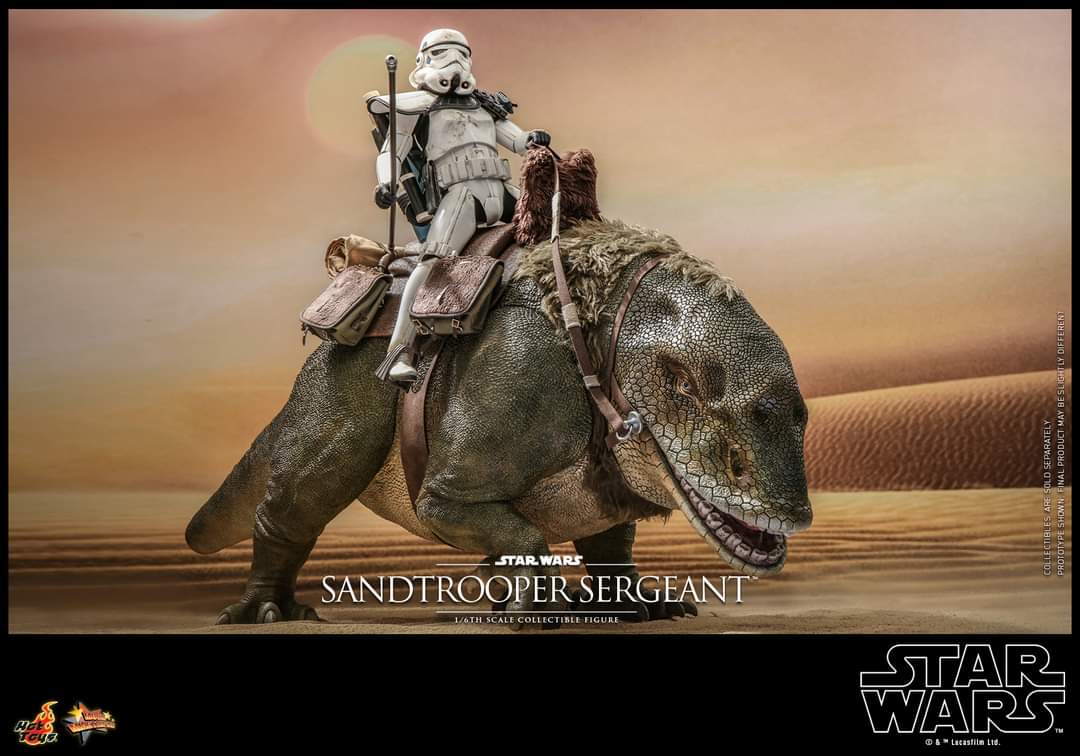 Hot Toys Sandtrooper Sergeant and Dewback Figure Set Sixth Scale Star Wars Limited Collectible