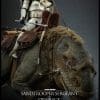 Hot Toys Sandtrooper Sergeant and Dewback Figure Set Sixth Scale Star Wars Limited Collectible