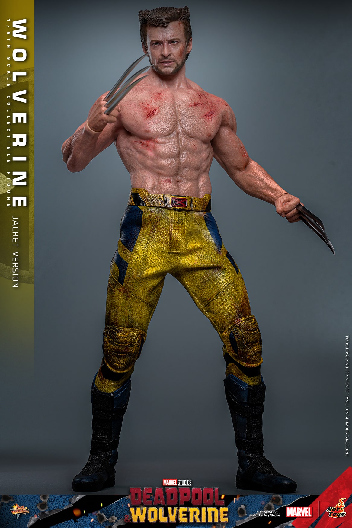 Hot Toys Wolverine Jacket Version Sixth Scale Figure Deadpool and Wolverine Limited Marvel 1:6 Collectible