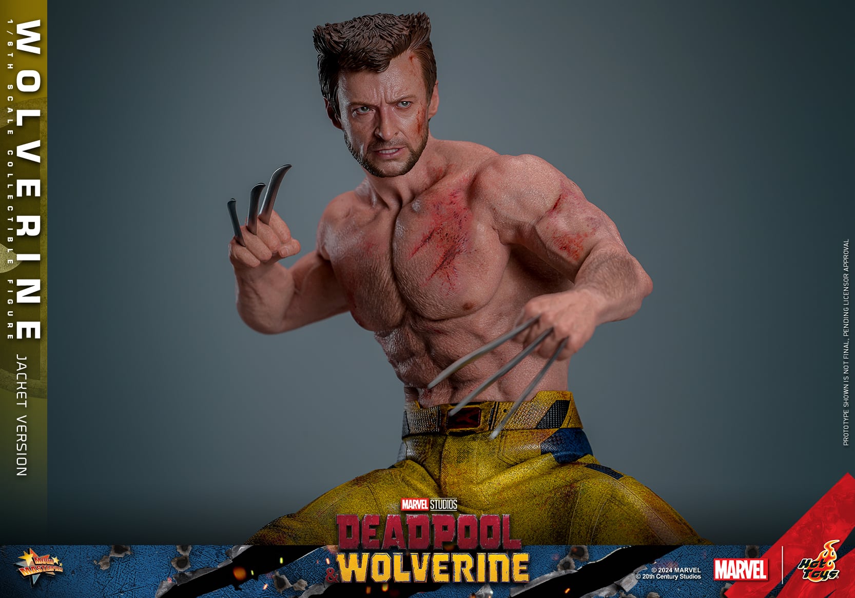 Hot Toys Wolverine Jacket Version Sixth Scale Figure Deadpool and Wolverine Limited Marvel 1:6 Collectible