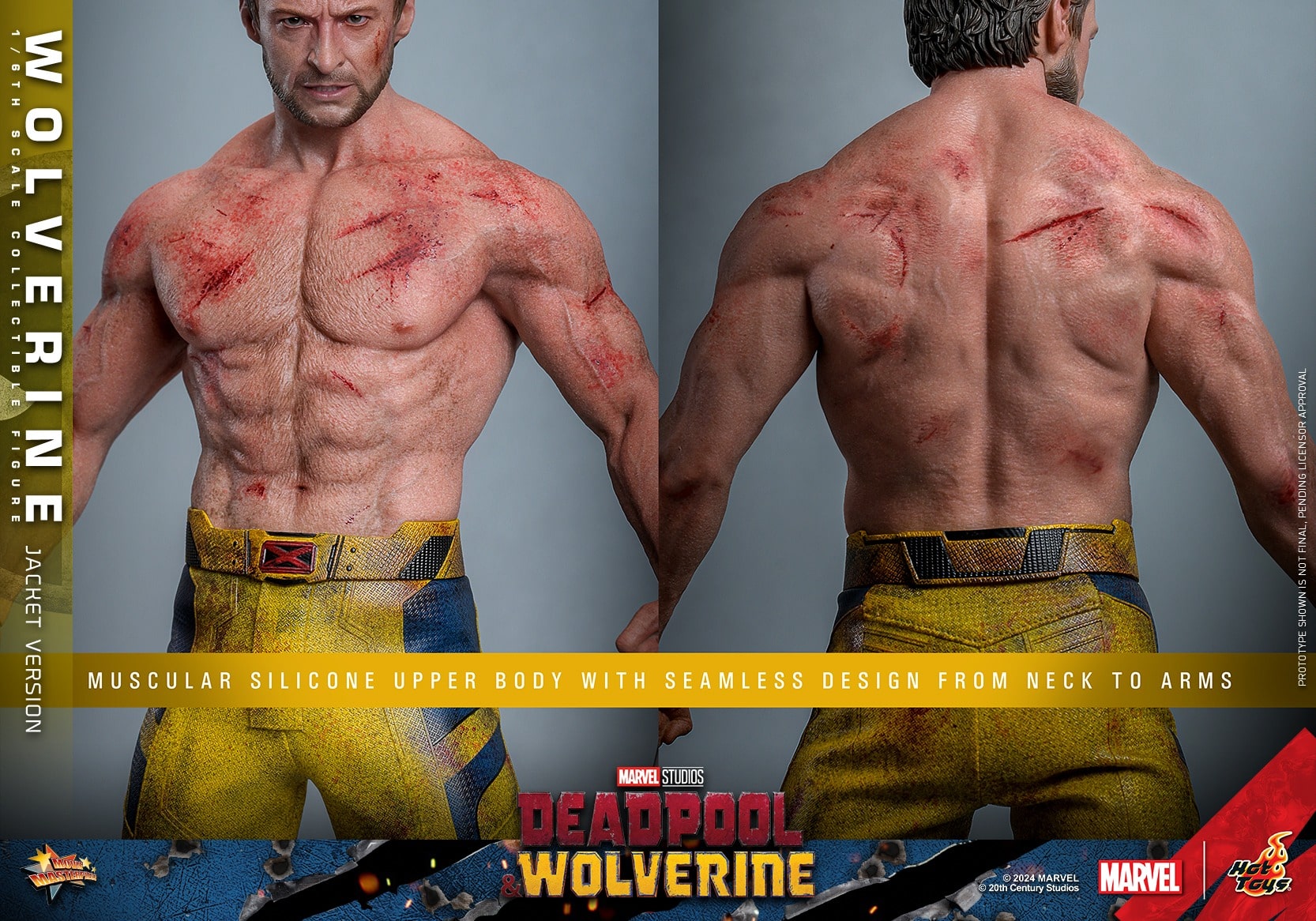 Hot Toys Wolverine Jacket Version Sixth Scale Figure Deadpool and Wolverine Limited Marvel 1:6 Collectible