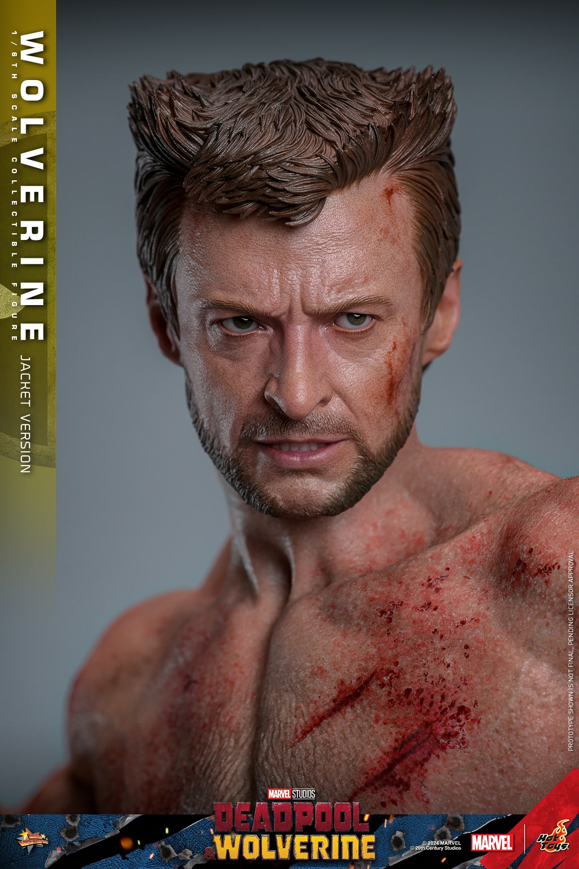 Hot Toys Wolverine Jacket Version Sixth Scale Figure Deadpool and Wolverine Limited Marvel 1:6 Collectible