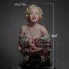 marilyn-monroe__gallery_66df62cadba88