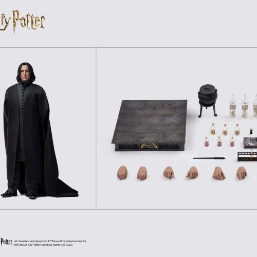 InArt Severus Snape Sixth Scale Figure Harry Potter Limited Collectible