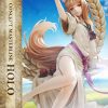 a007_CMSW-01S_04 Spice and Wolf: Merchant Meets The Wise Wolf Holo Figure 1:5 Scale Limited Collectible