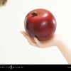 a017_CMSW-01S_29 Spice and Wolf: Merchant Meets The Wise Wolf Holo Figure 1:5 Scale Limited Collectible