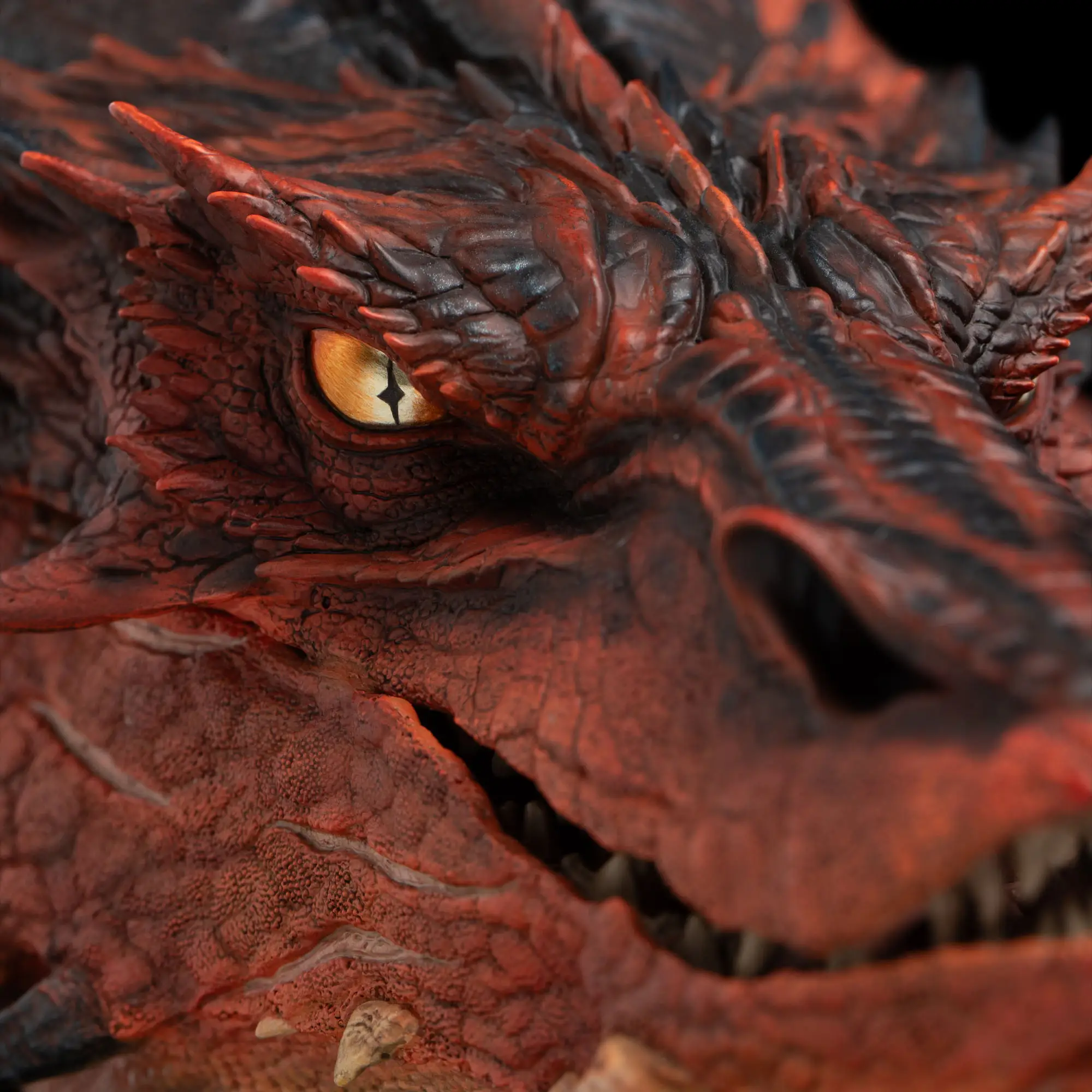 _hobbit_smaugbust_2025_012_1